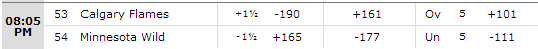 Minnesota Wild vs Calgary Flames